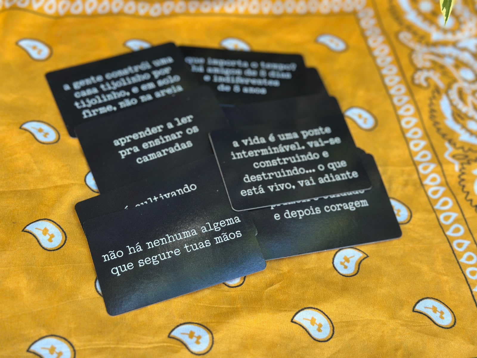 Cartas MPB com citações de Vinicius, Raul Seixas e da literatura brasileira