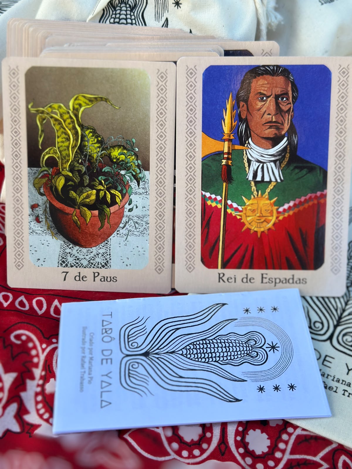 Cartas 7 de Paus e Rei de Espadas do Tarô de Yala com guia azul