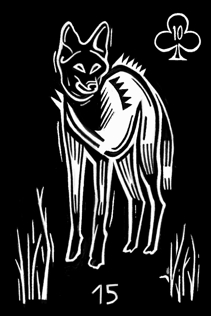 urso — Ciganage