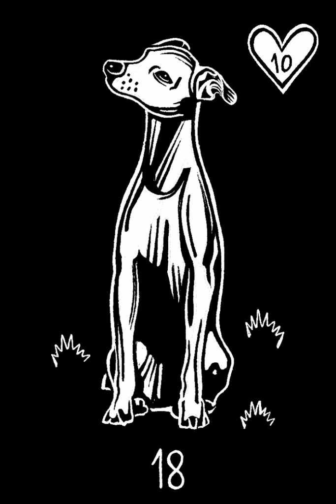 cachorro — Ciganage