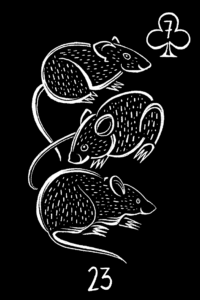 ratos