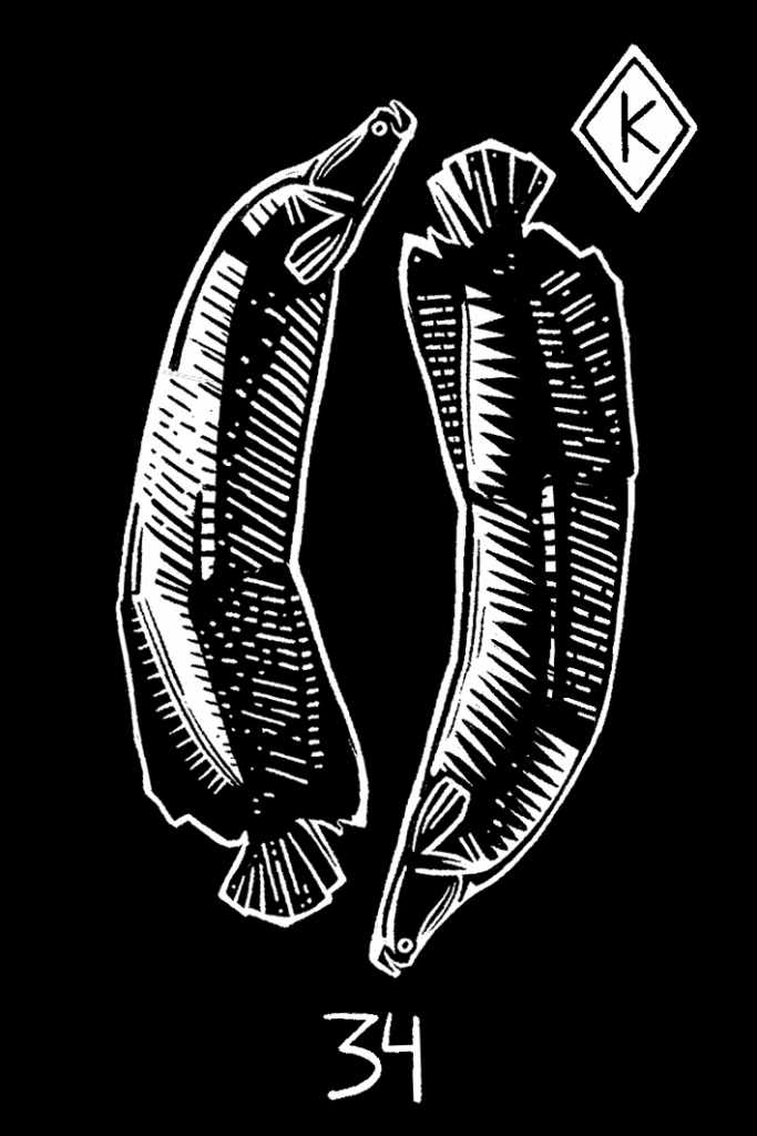 peixes — Ciganage